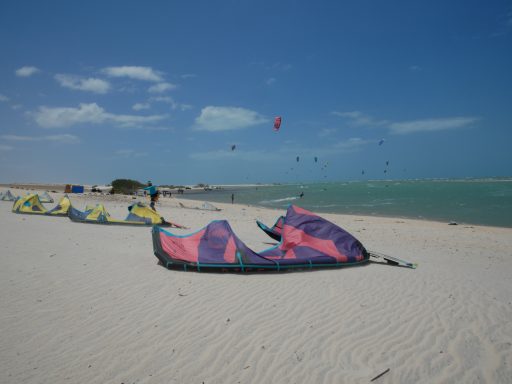 Bunte Kites am Strand mit blauem Himmel und ruhigem Wasser im Hintergrund.
