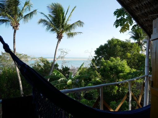 Ausblick auf eine Küstenlandschaft mit Palmen und einem Hängemattenbereich.