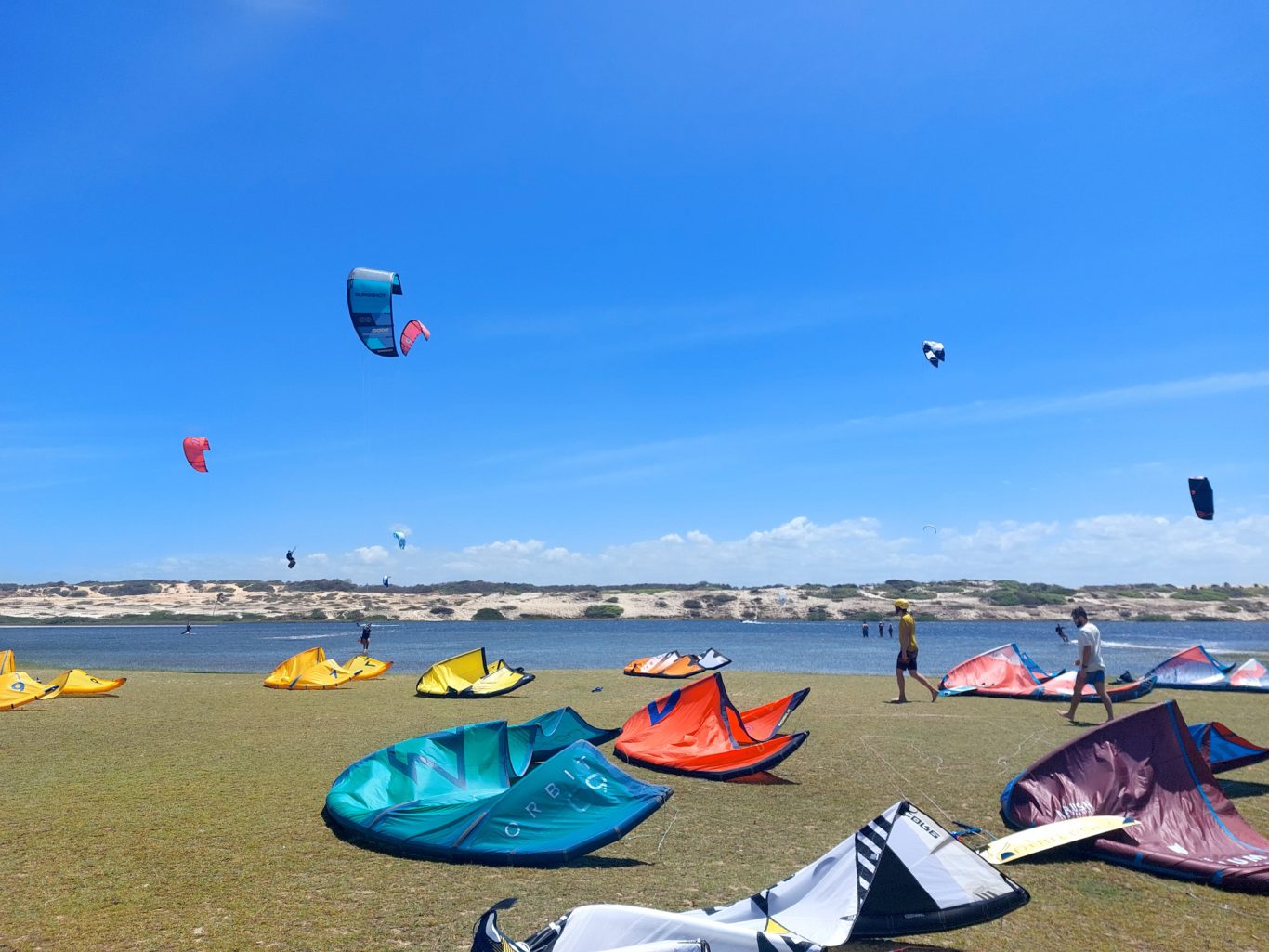 Farbenfrohe Kites und Sportler an einem sonnigen Strand mit blauem Himmel.