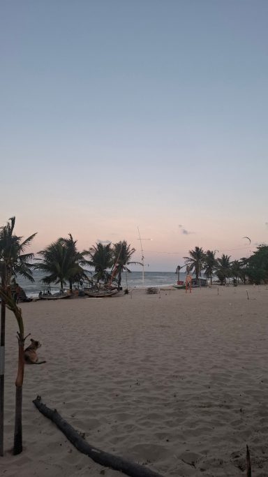 Strand mit Sonnenuntergang und Palmen