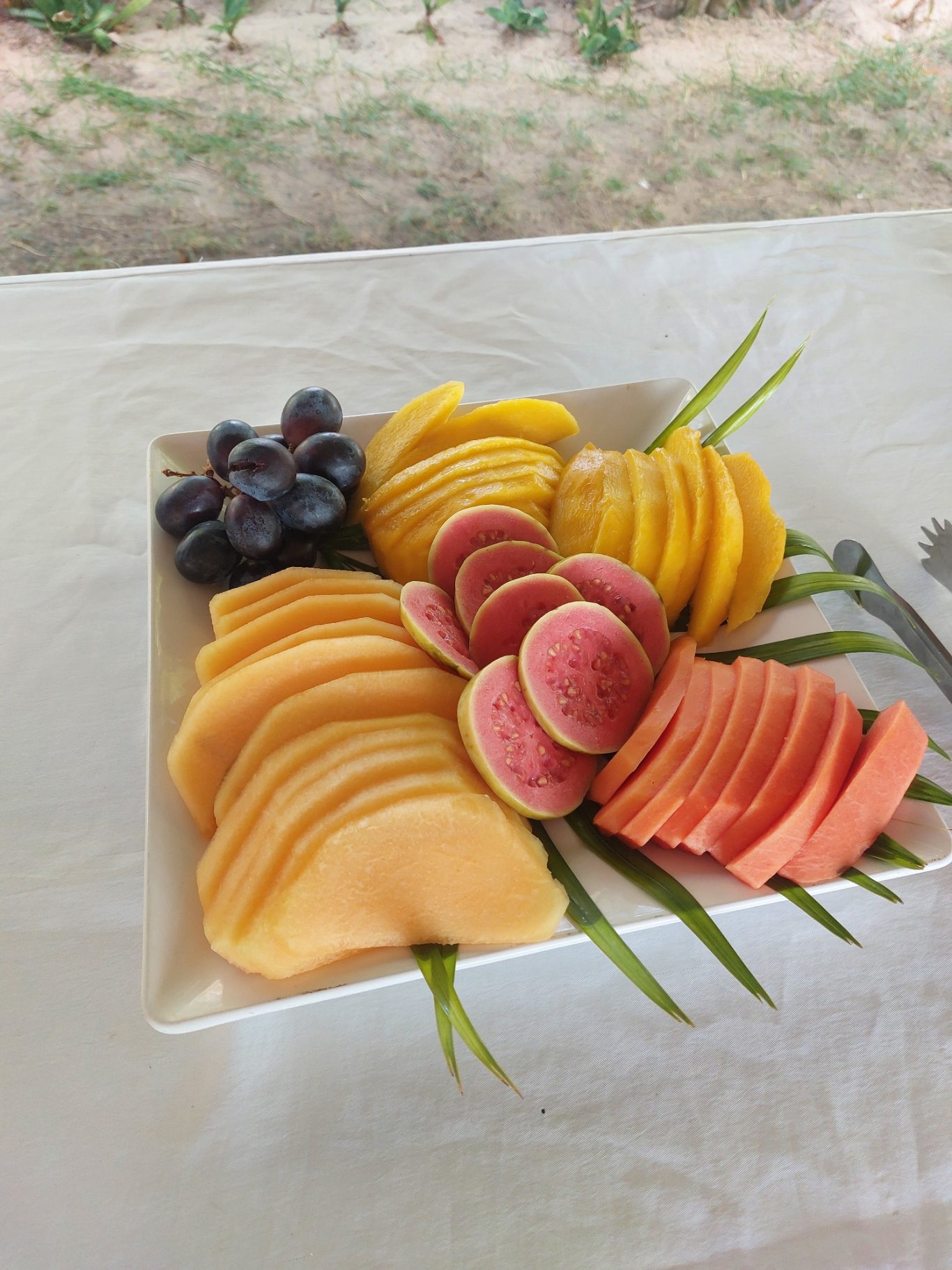 Buntes Obstteller mit Melonen, Mangos, Trauben und Grapefruit.